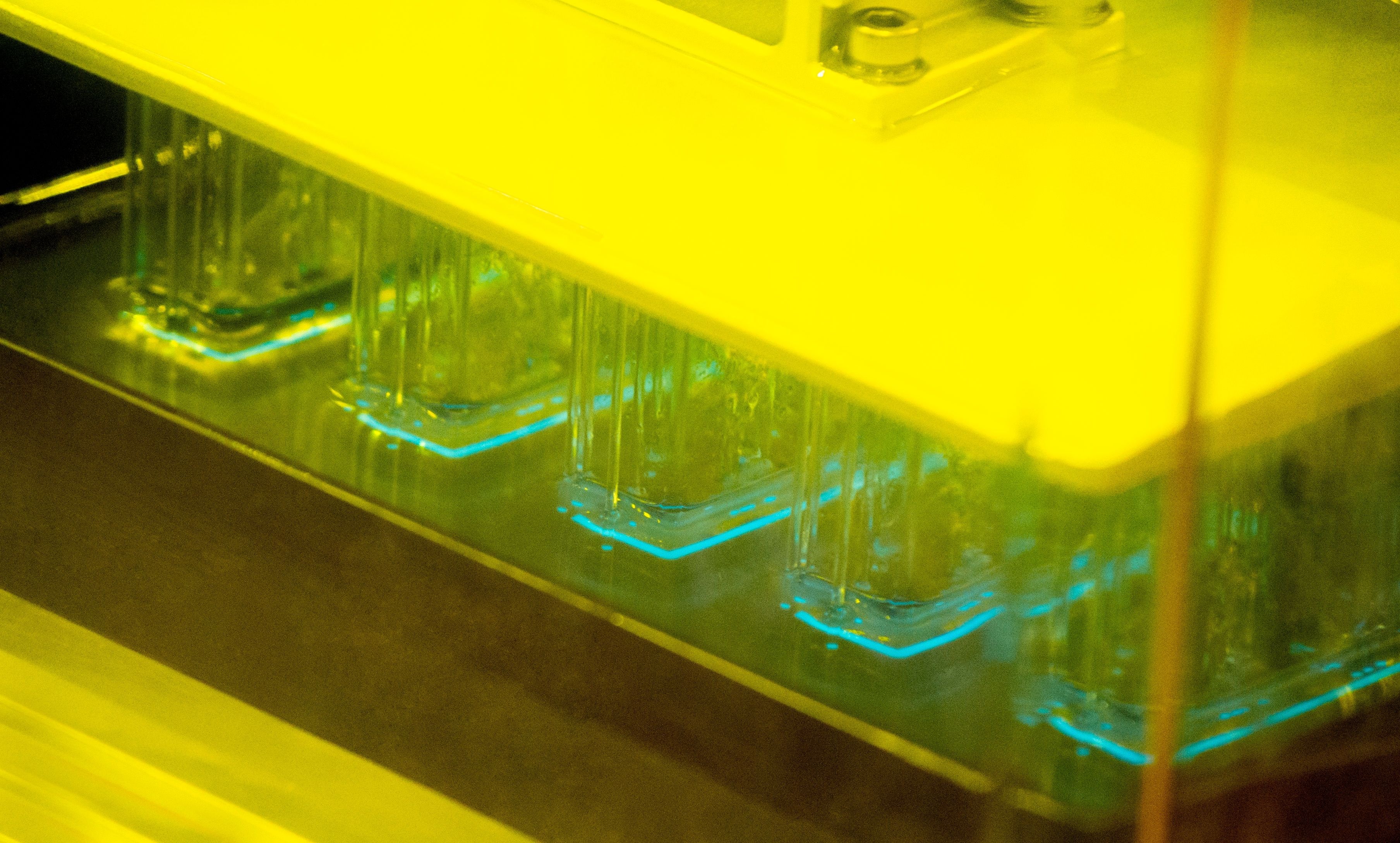Close-up of parts curing on the build plate of an SLA resin 3D printer under yellow safelight